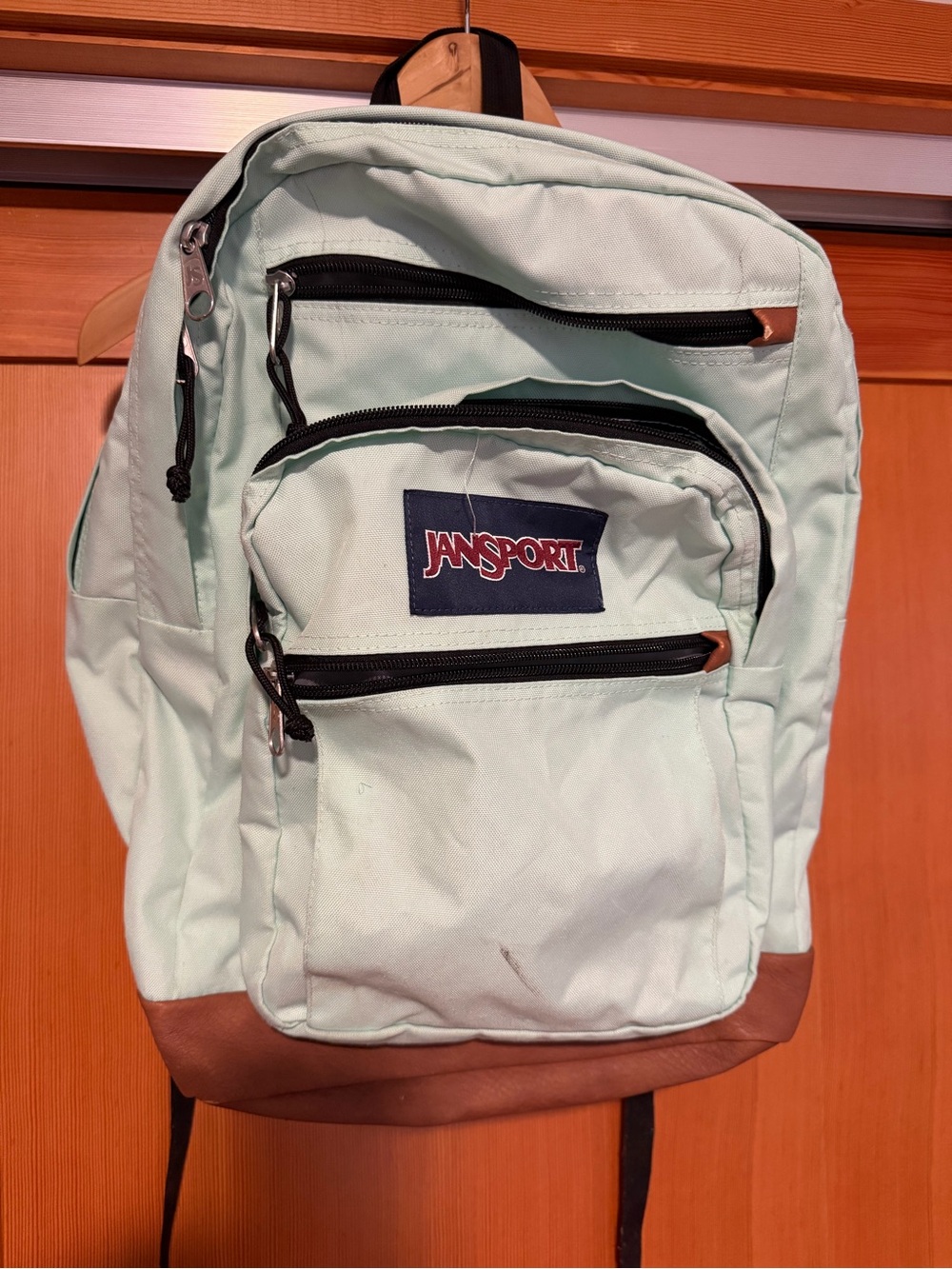 JanSport Mint Green Backpack with Leather Base